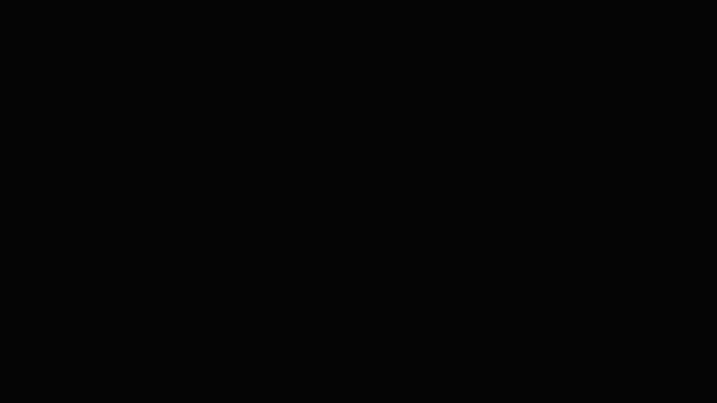 BC-PETERS  ER6, skin 2024_Neumeyer