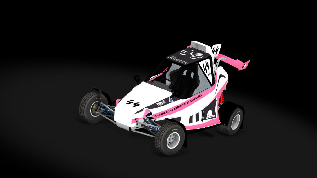 BC-roscross_r6  ACTF, skin DUNOT_Valentin