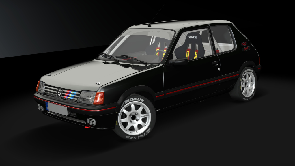 Peugeot 205 1.9 GTI Gr.N, skin negro