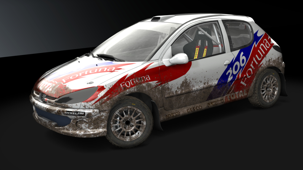 Peugeot 206 Autocross, skin 03