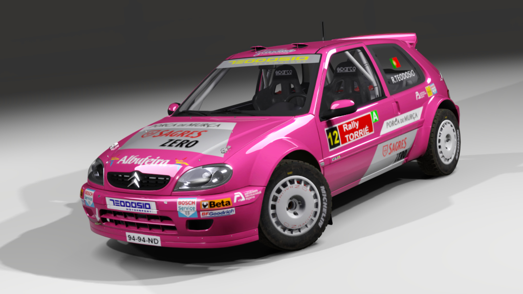 LF S1600 Citroen Saxo S1600 Gravel, skin #LF Ricardo Teodósio 2008