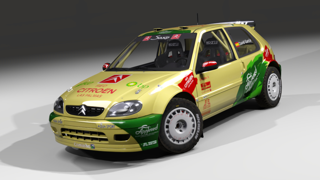 LF S1600 Citroen Saxo S1600 Gravel, skin DavidGarcia2004_ByDanyCruz