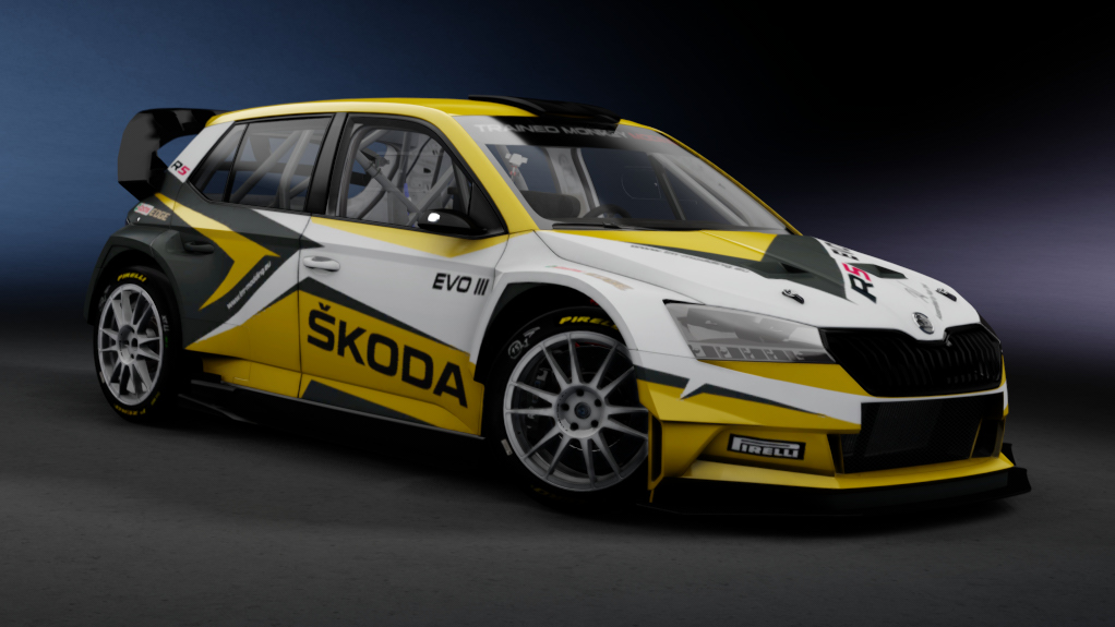 Skoda Fabia R5 DTRi Evo 3, skin default_04